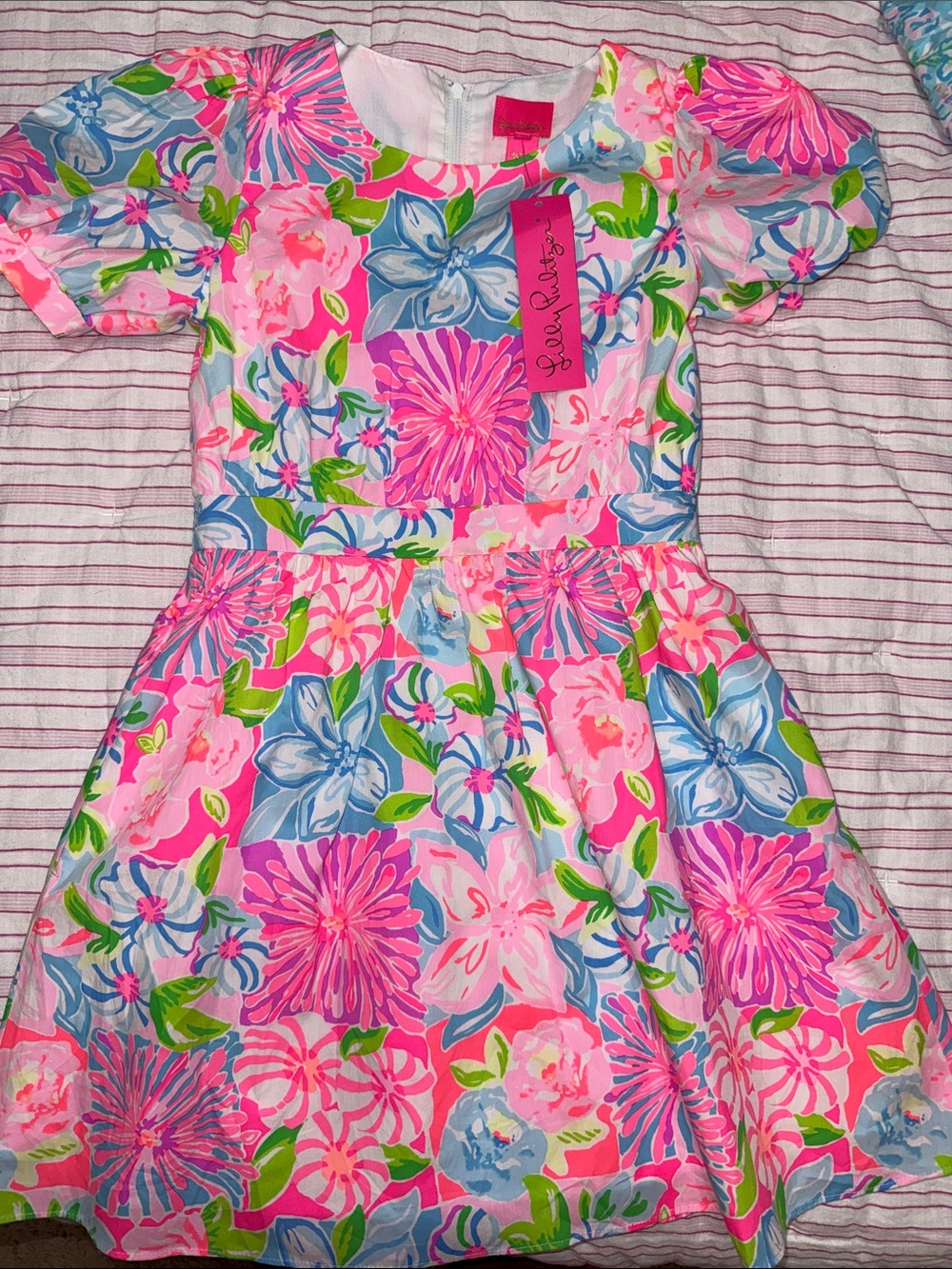Lilly Pulitzer Pink, Blue & Green Floral Fit-and-Flare Dress